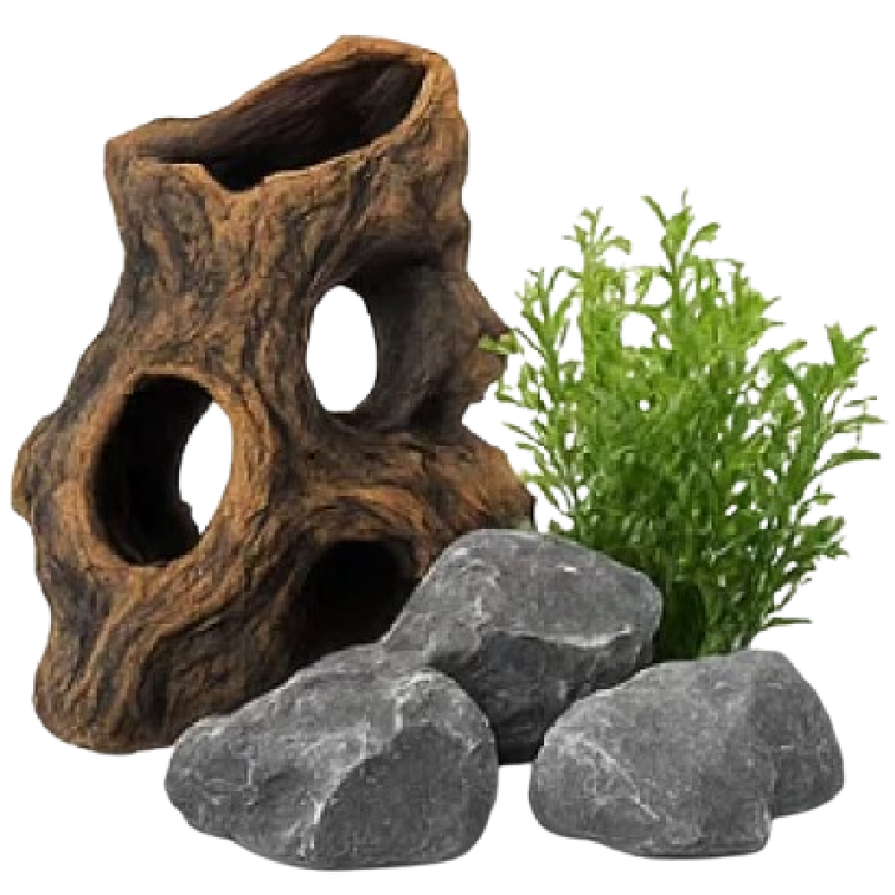 Décoration et aquascaping