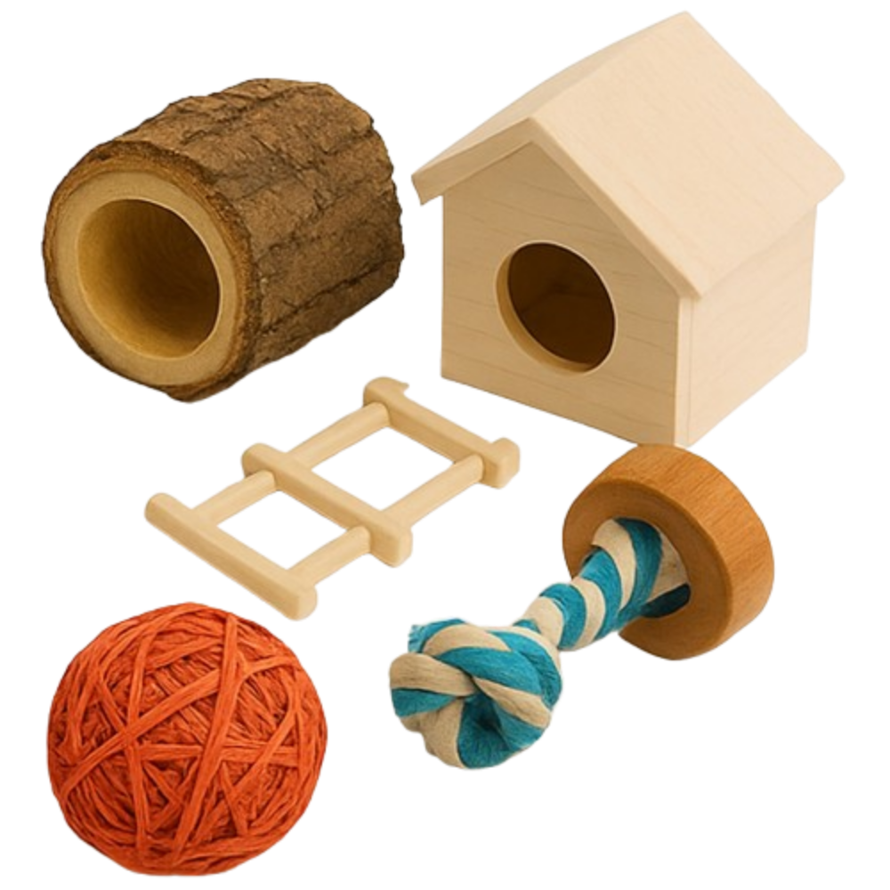 Habitats, équipements et accessoires