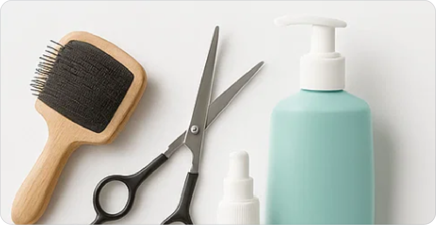 Hygiène et toilettage