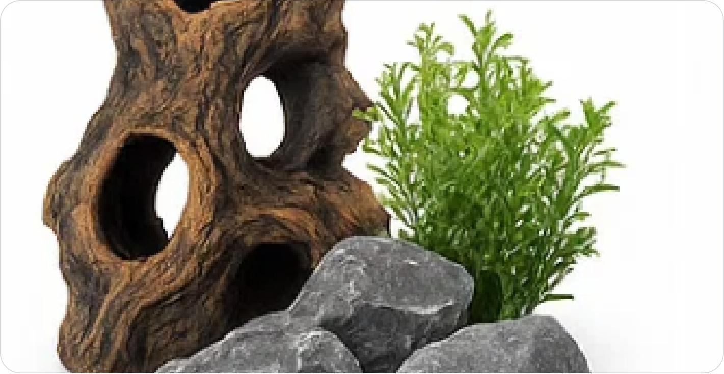 Décoration et aquascaping