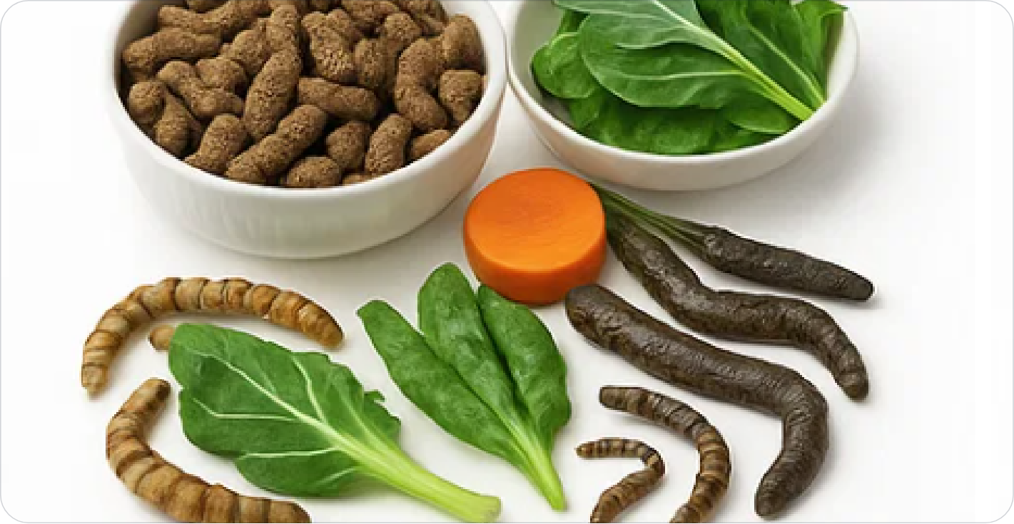 Alimentation