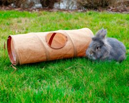 Tunnel pour rongeurs
