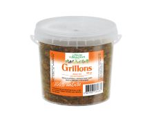 Grillons d&eacute;shydrat&eacute;s 1 kg
