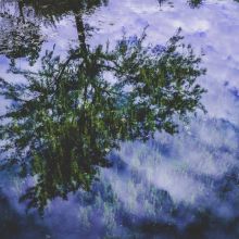 Mélange de Graines Hamster