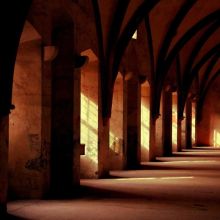 Shampooing Sans Rinçage