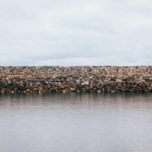 Mélange de Graines Hamster