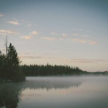 Croquettes Bio Poulet Fermier