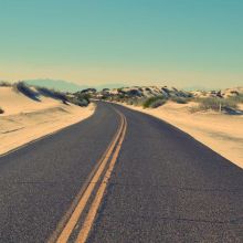 Mangeoire Anti-Gaspillage