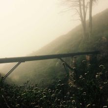 Granulés Complets Lapin