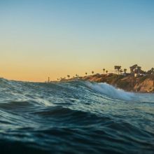 Émincés en Gelée Dinde