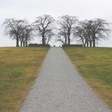 Brosse Démêlante Professionnelle