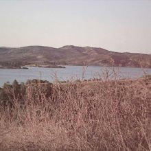 Harnais Anti-Traction