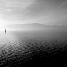 Croquettes Hypoallergéniques Agneau et Riz