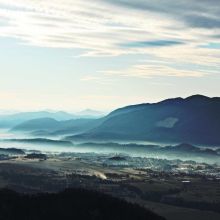 Friandises Légumes Séchés