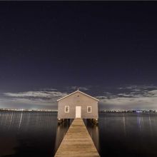 Mélange de Graines Hamster