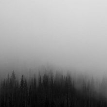 Mélange de Graines Hamster