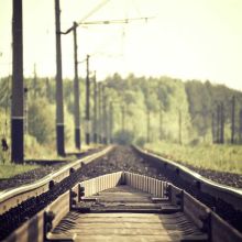 Fontaine à Eau Silencieuse