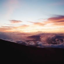 Coupe-Griffes Précision