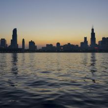 Pâtée Bio Poulet Fermier