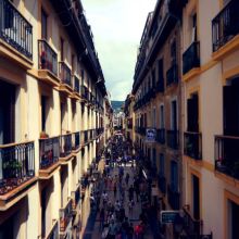 Pâté Hypoallergénique