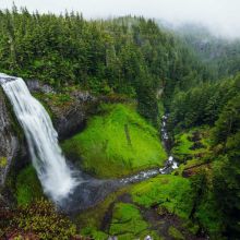 Souris en Peluche avec Herbe à Chat