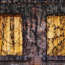 Complément Vitaminé