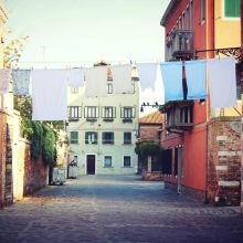 Brosse Auto-Nettoyante