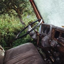 Croquettes Bio Poulet Fermier