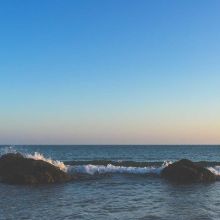 Cage Grande Taille avec Perchoirs