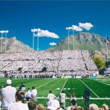 Bac à Litière avec Couvercle