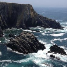 Cage Grande Taille avec Perchoirs