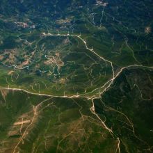 Pâtée Élevage Canaris