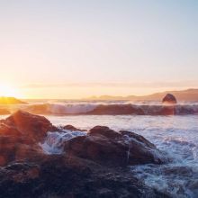 Croquettes Urinary Care Poulet