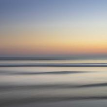 Friandises Légumes Séchés