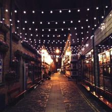 Sachets Sterilized Poisson