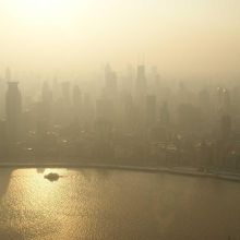 Shampooing Sans Rinçage