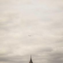 Os en Nylon Saveur Bœuf