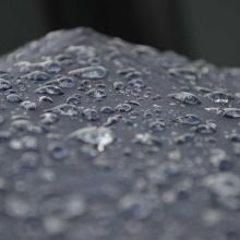 Roue d'Exercice Silencieuse