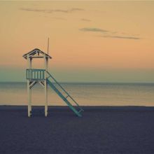 Jouet Distributeur de Friandises