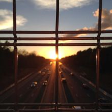 Collier Cuir Premium