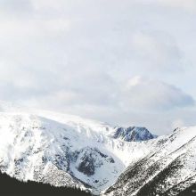 Croquettes Senior 7+ Poulet