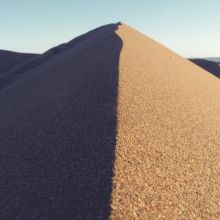 Friandises Os à Mâcher Naturels