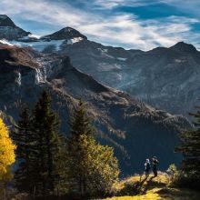 Tunnel de Jeu Pliable