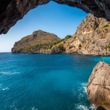 Brosse Démêlante Professionnelle