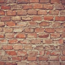 Brosse Démêlante Professionnelle