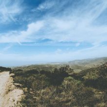 Spray Éducatif Anti-Grattage