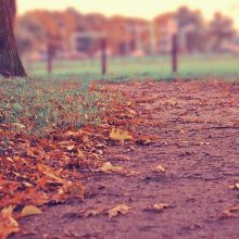 Panier Moelleux Grande Taille