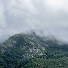 Os en Nylon Saveur Bœuf