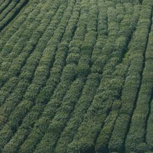 Granulés Complets Lapin