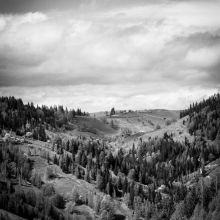 Pâtée Bio Poulet Fermier